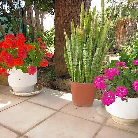 Georgia Paphos